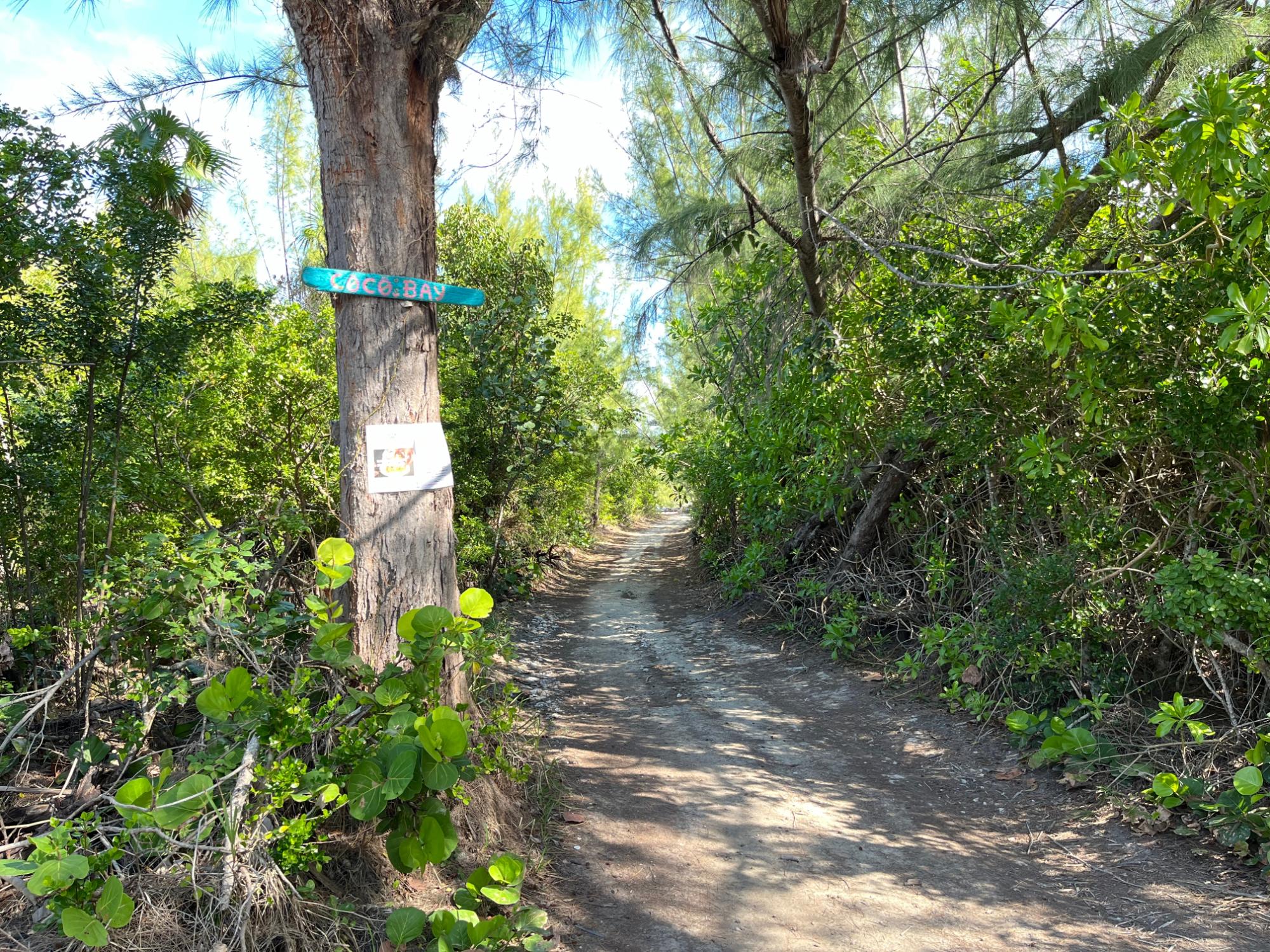 GREEN TURTLE CAY