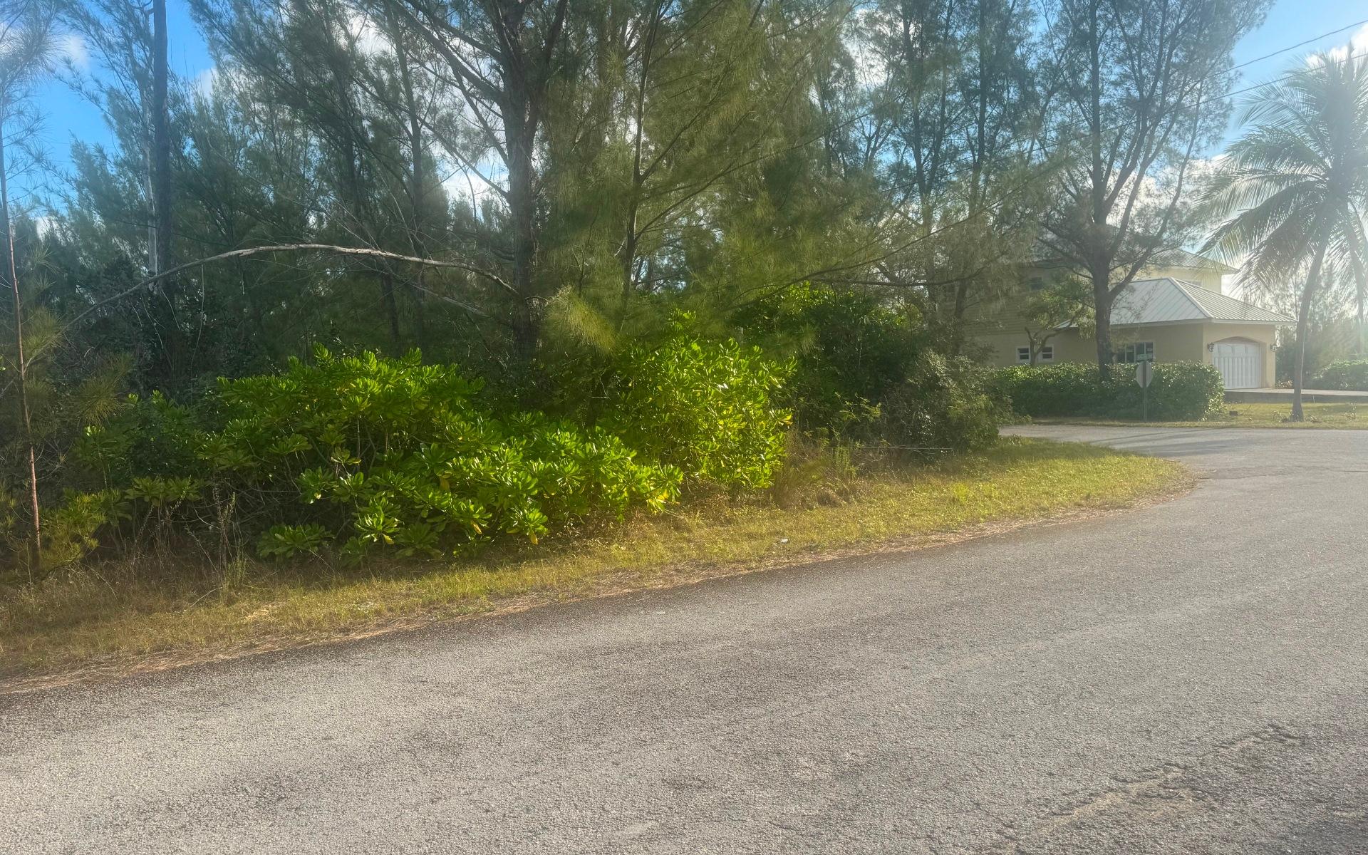 LINCOLN GREEN CORNER LOT