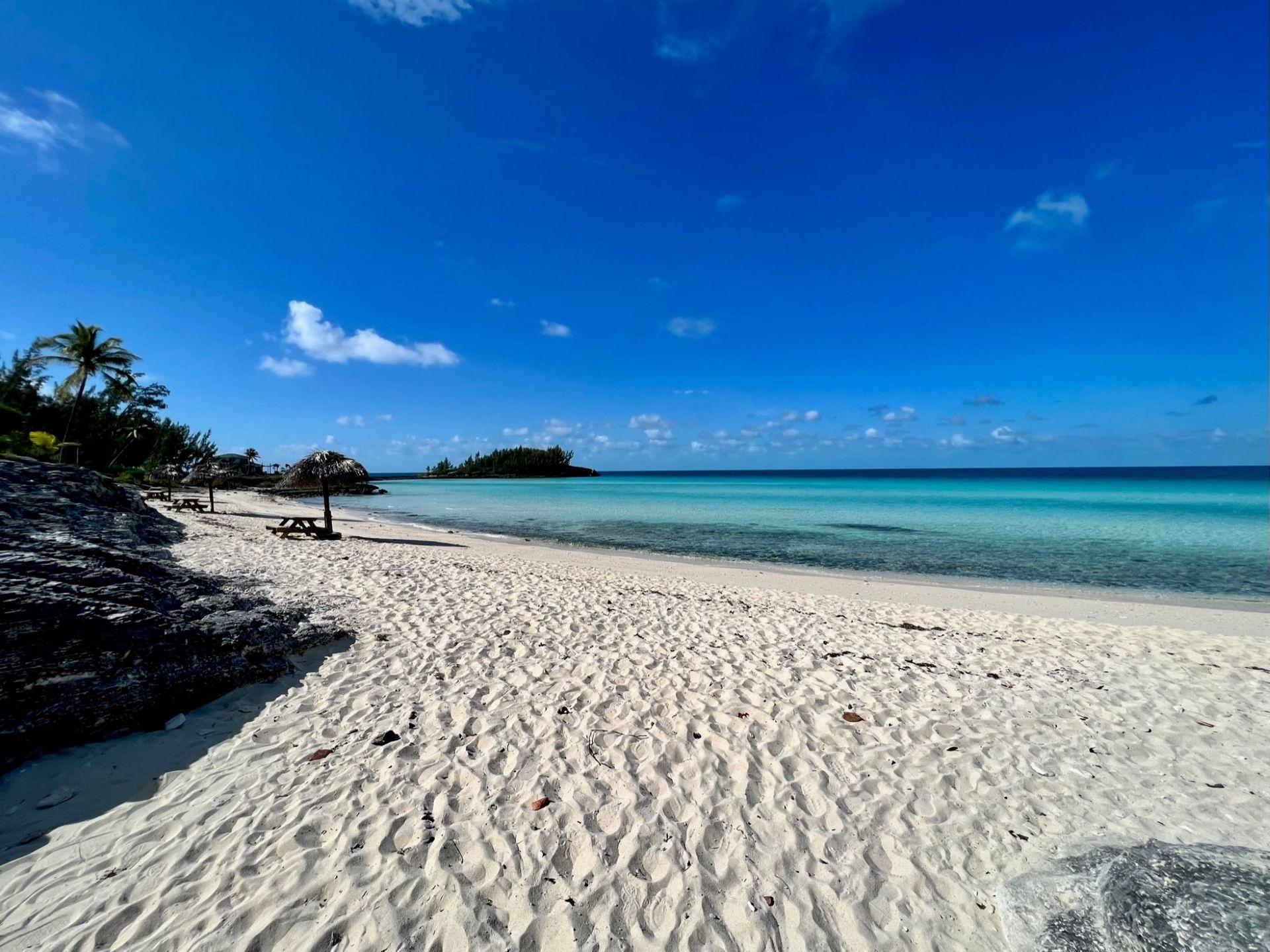 LAZY SHORE DRIVE