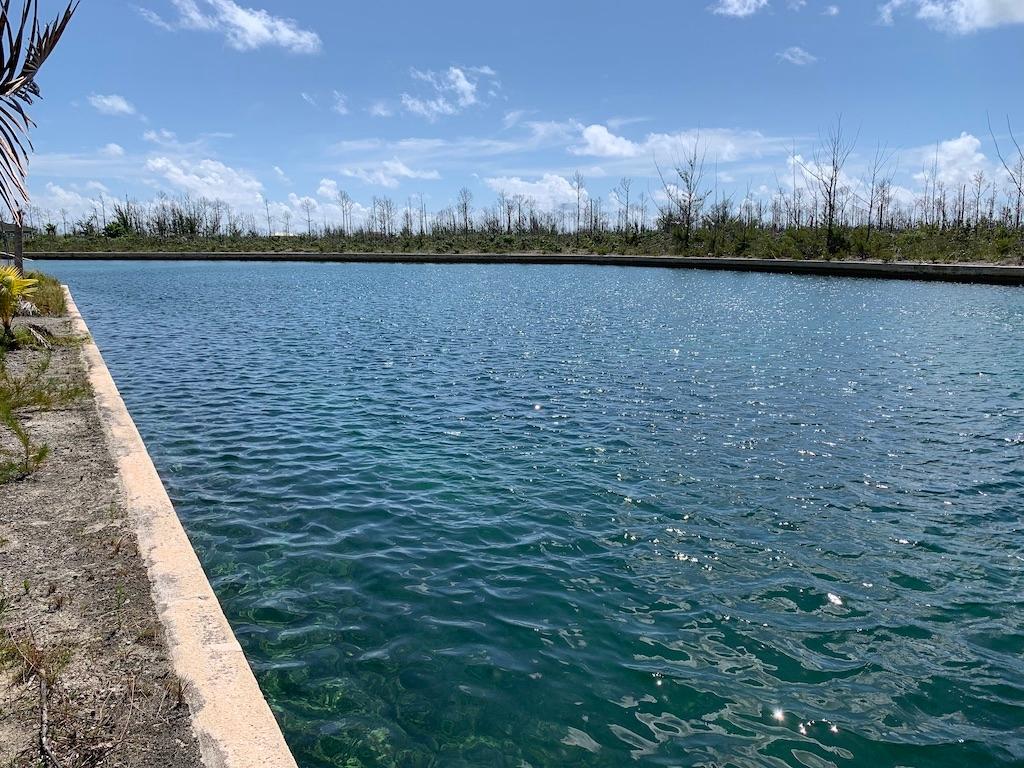 PINE BAY CANAL FRONT