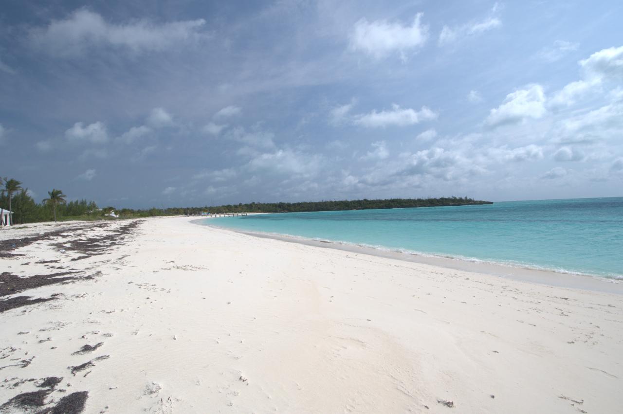 Coconuts Beach Lot