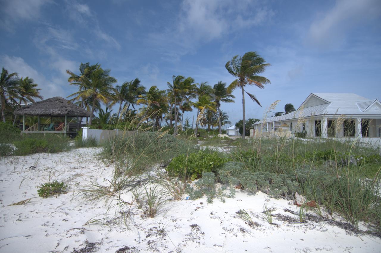 Coconuts Beach Lot