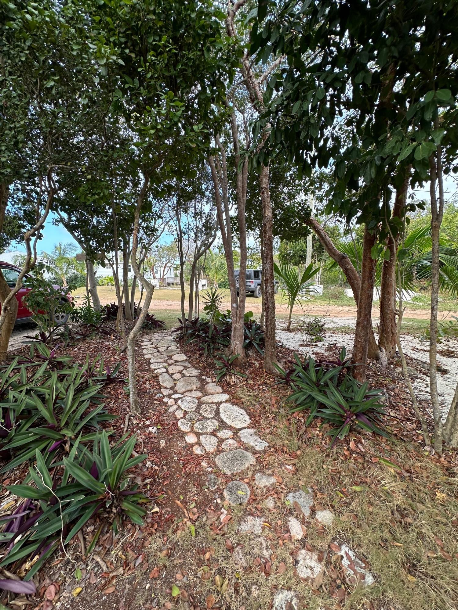 ELEUTHERA ISLAND SHORES