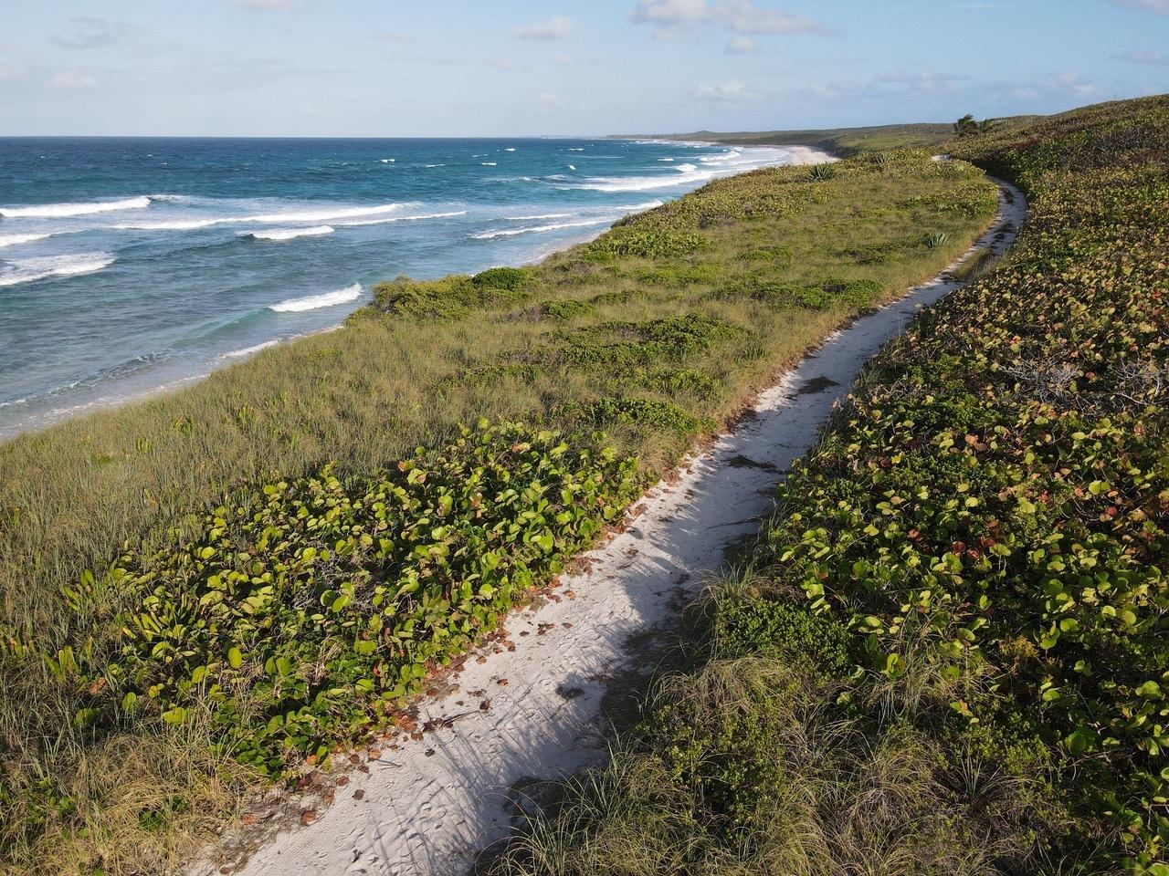 ELEUTHERA ISLAND SHORES