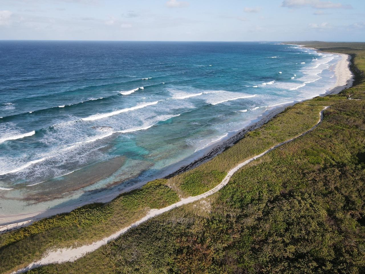 ELEUTHERA ISLAND SHORES