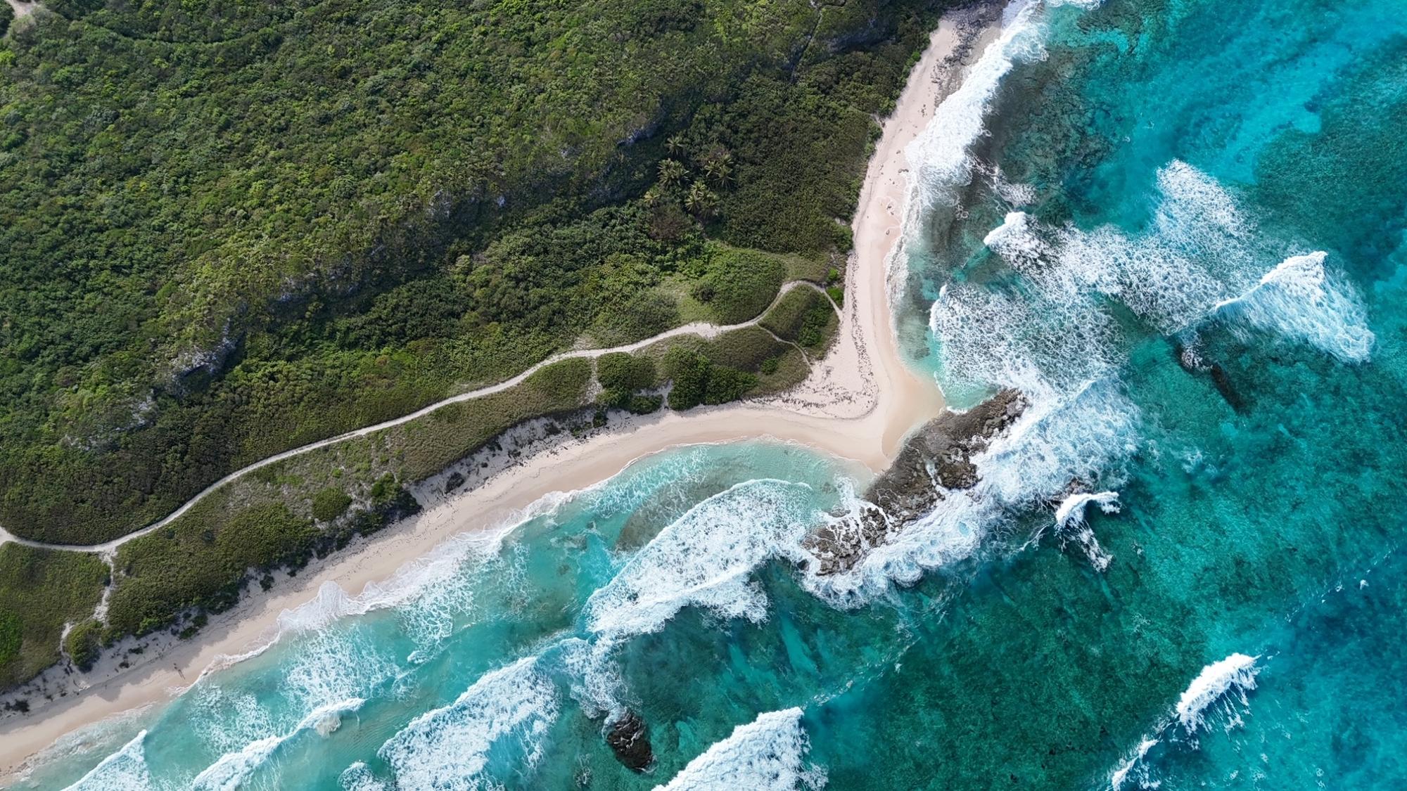 ELEUTHERA ISLAND SHORES