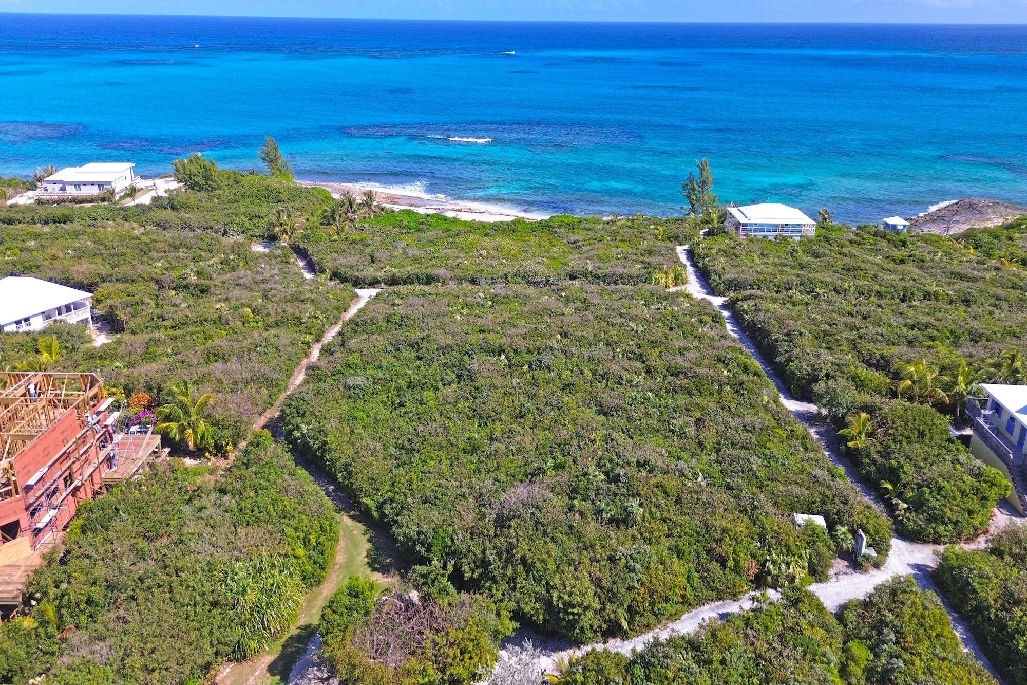 GUMBO LIMBO HILLTOP LOT