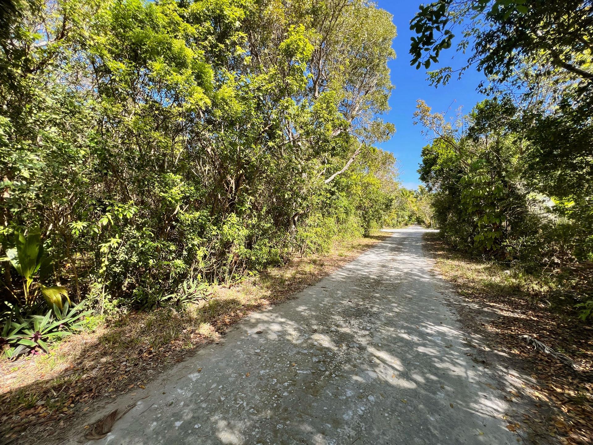 LOT 1 BAHAMA PALM SHORES