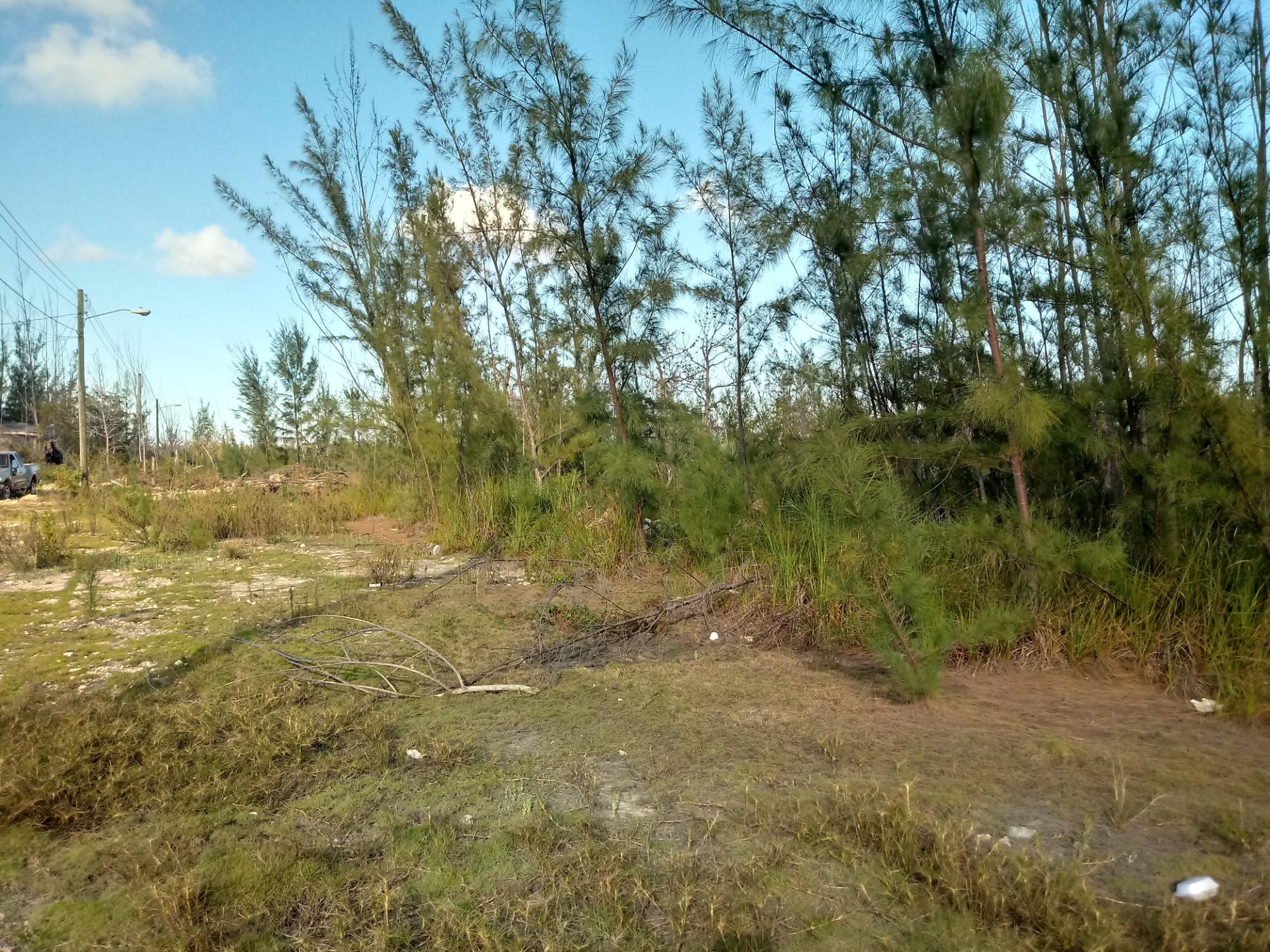 6.77 ACRES BLUE HILL RD SOUTH BEACH