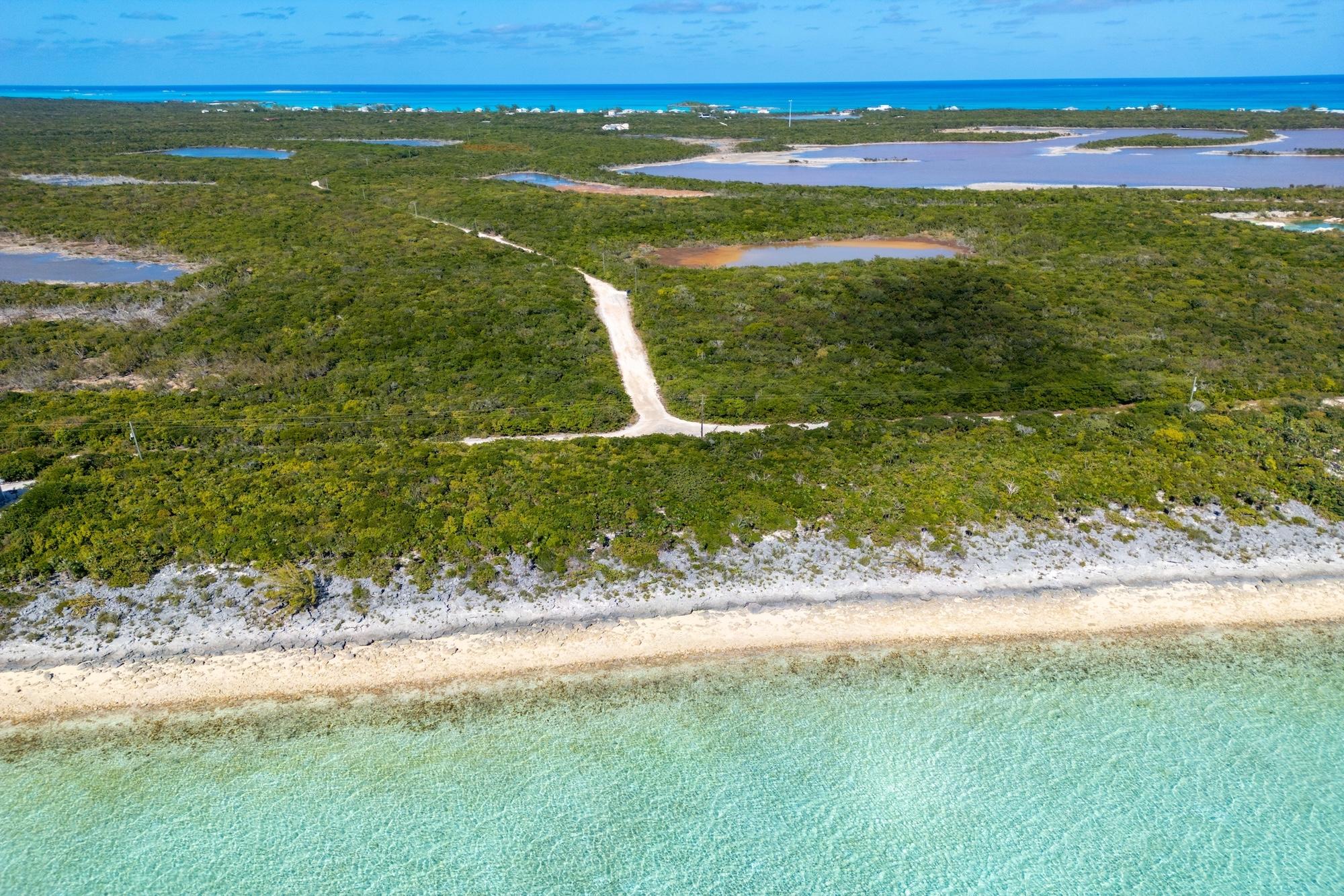 Bahama Island Beach