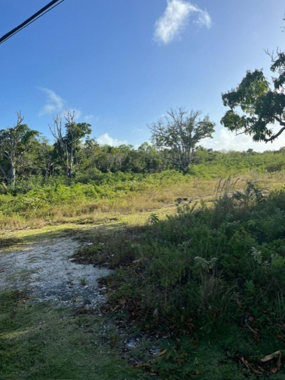 DEADMAN’S CAY ROAD FRONT