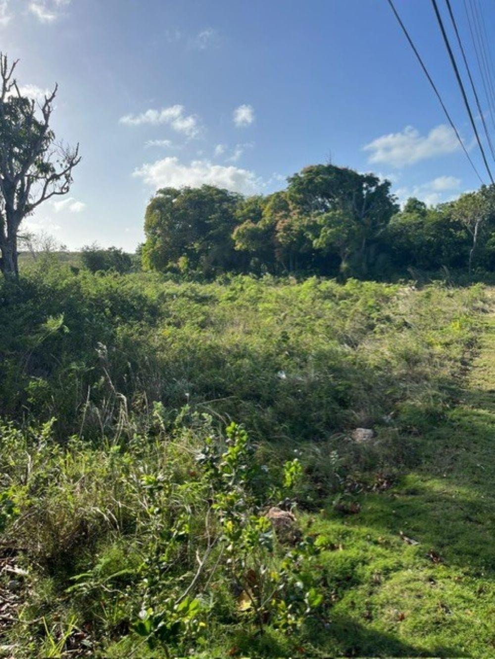 DEADMAN’S CAY ROAD FRONT