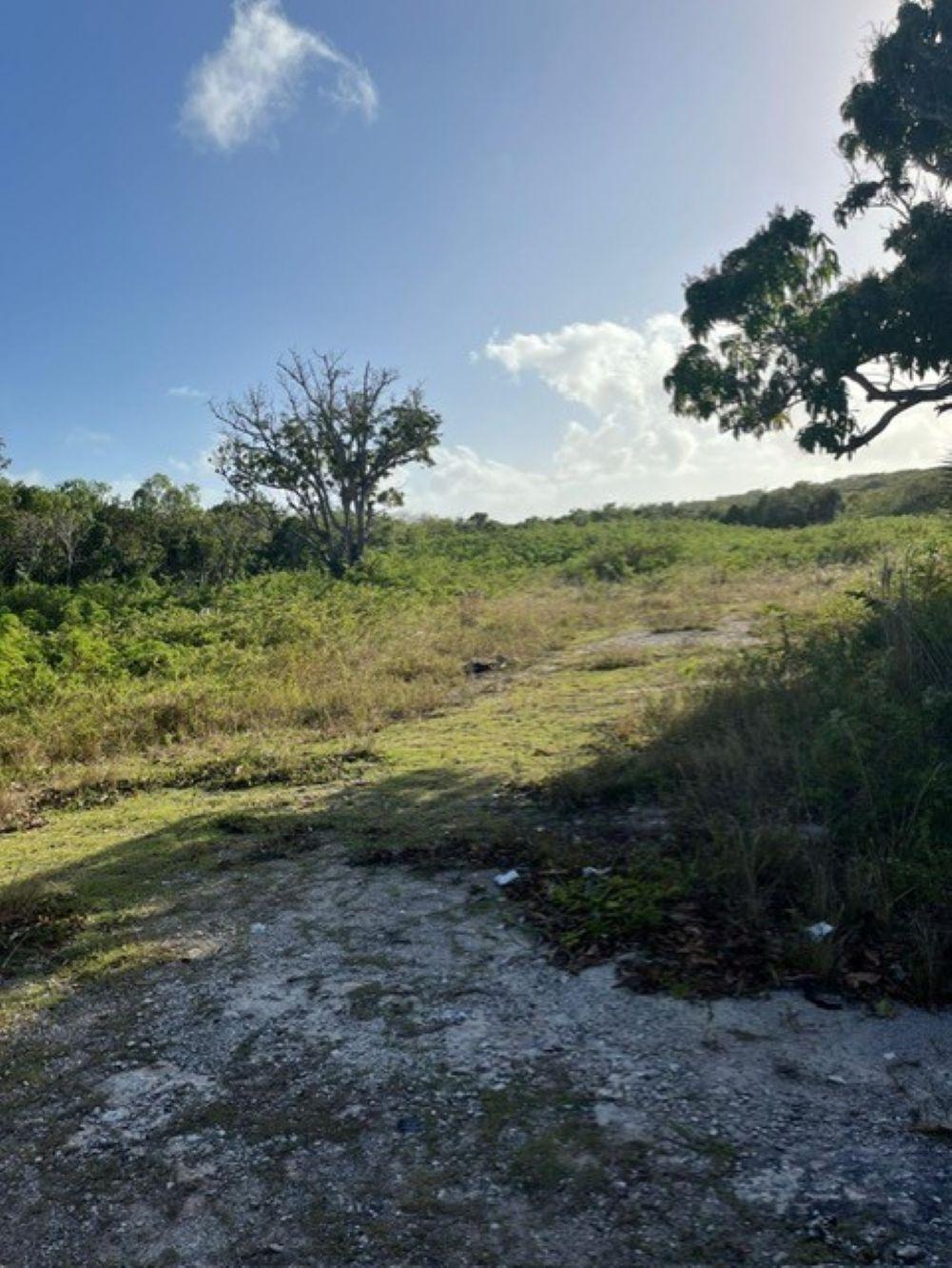 DEADMAN’S CAY ROAD FRONT