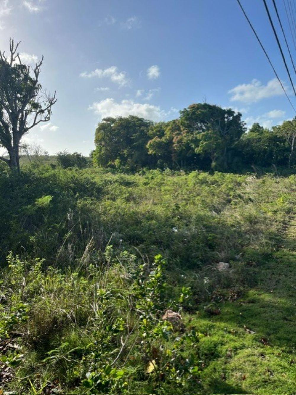 DEADMAN’S CAY ROAD FRONT