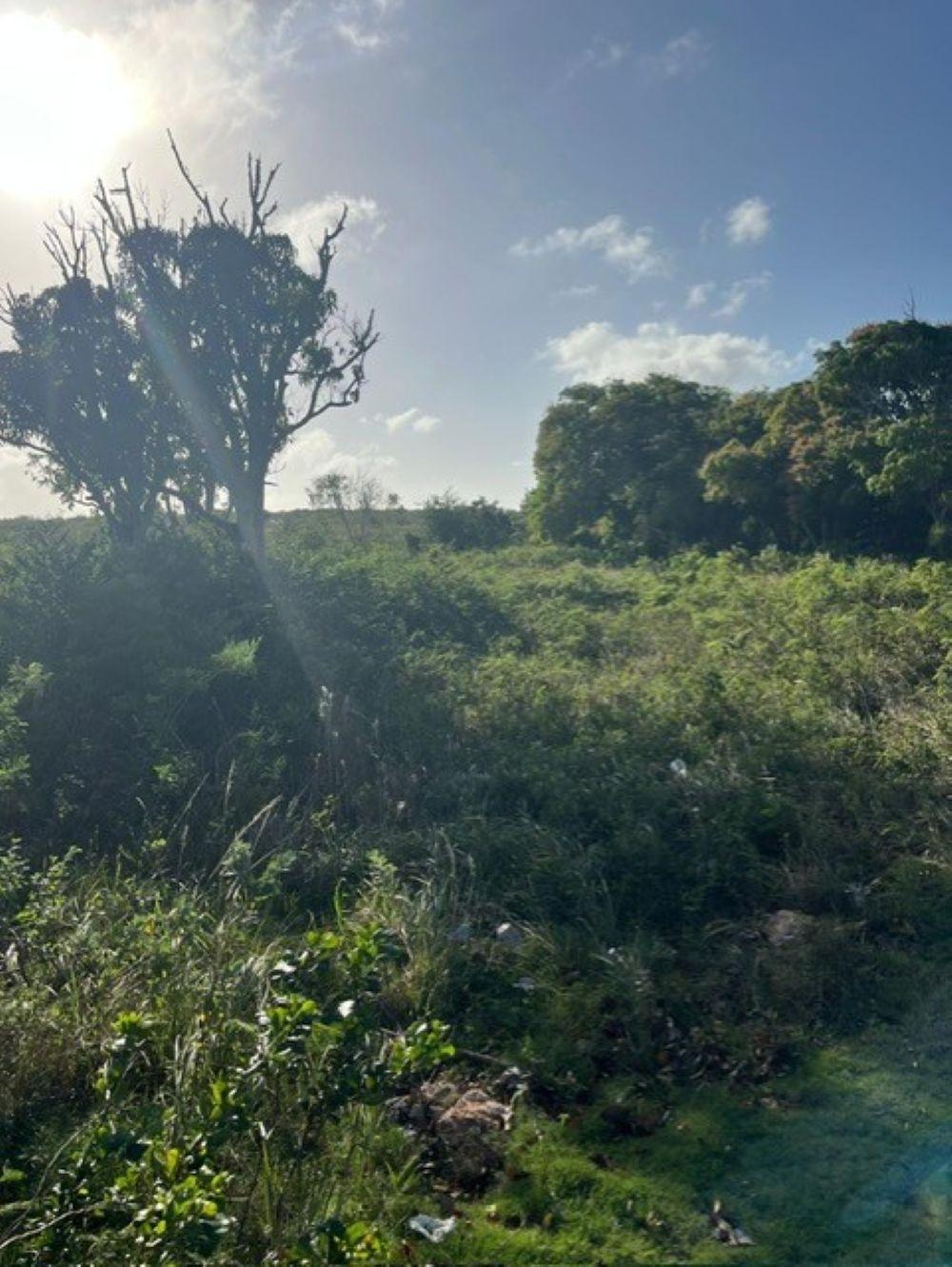 DEADMAN’S CAY ROAD FRONT