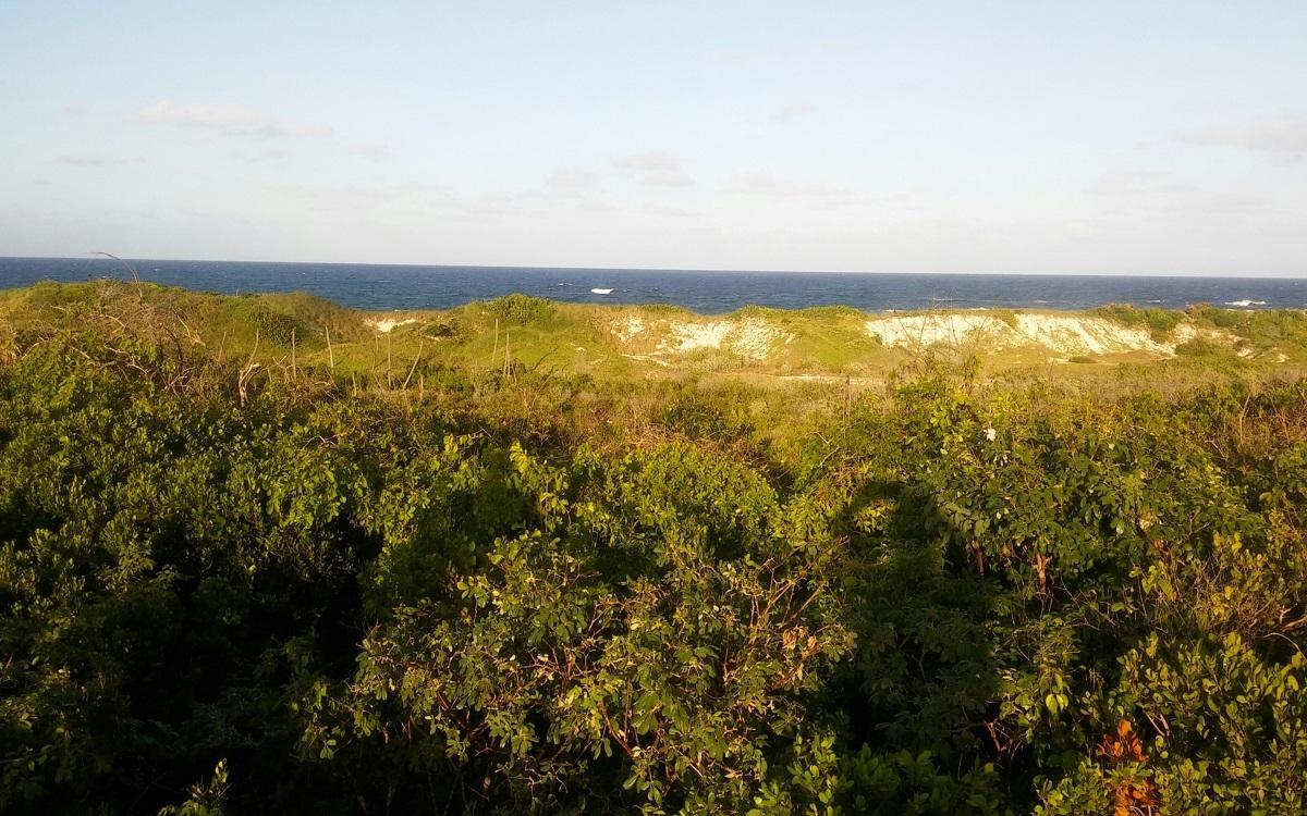 OCEAN VIEW LOT 1 MILLERS