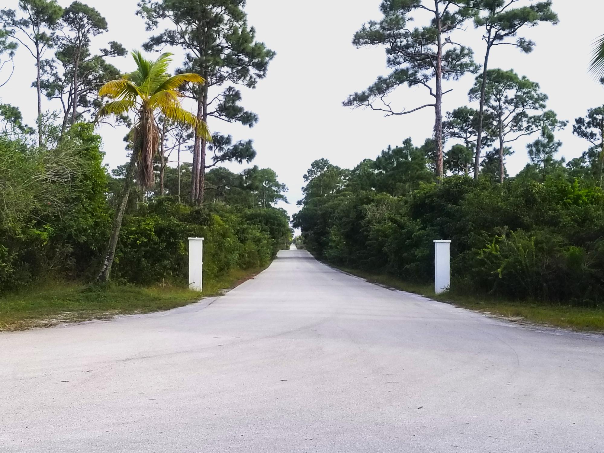 BAHAMA PALM SHORES