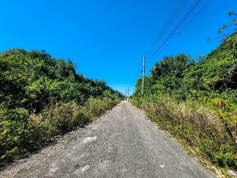 TONIQUE WILLIAMS-DARLING PARCEL 1 — 1.402 ACRES