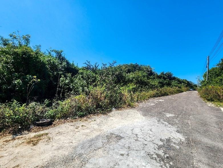 TONIQUE WILLIAMS-DARLING PARCEL 1 — 1.402 ACRES