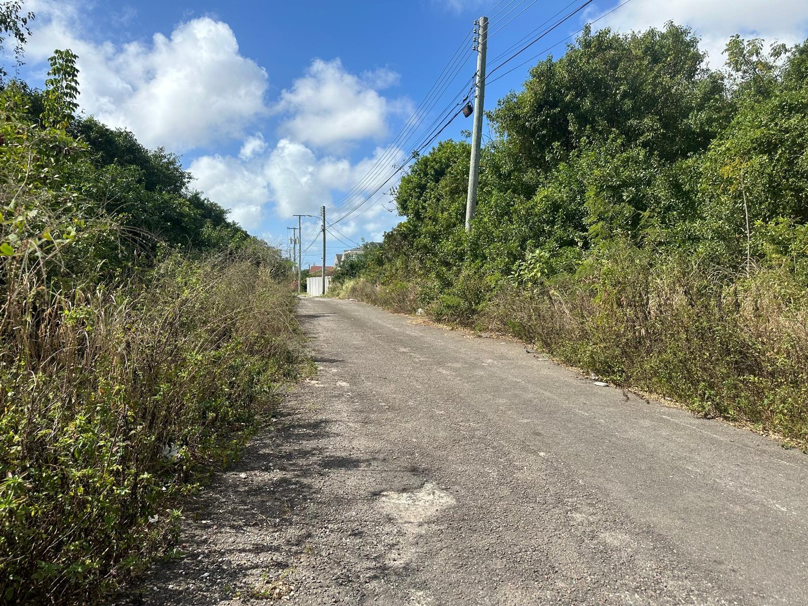 TONIQUE WILLIAMS-DARLING PARCEL 1 — 1.402 ACRES