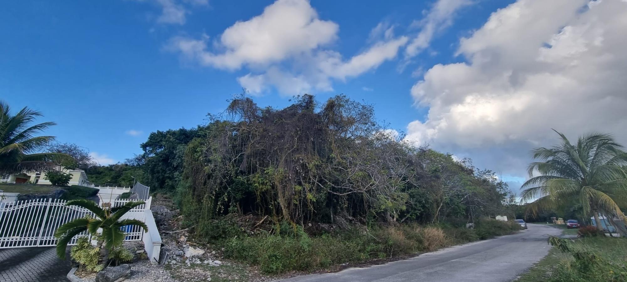 LOT #45 SOUTH WESTRIDGE