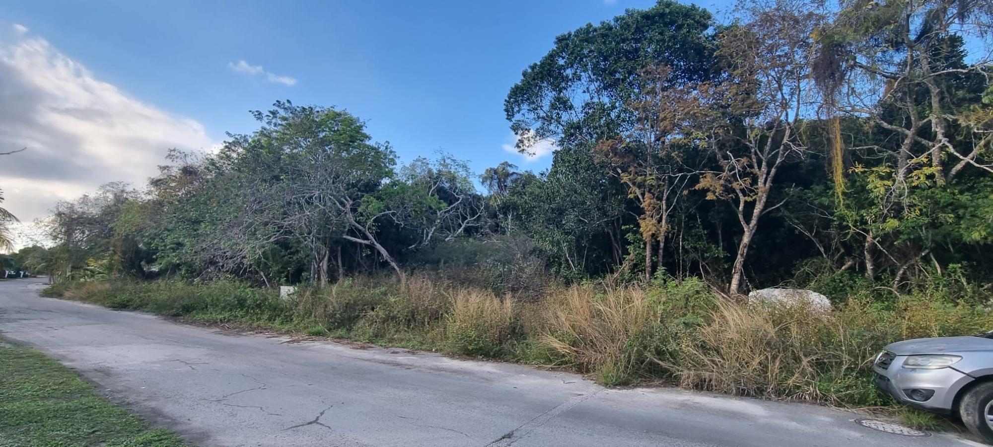 LOT #45 SOUTH WESTRIDGE