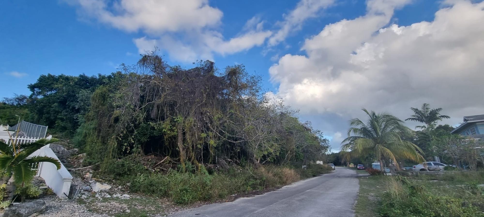 LOT #45 SOUTH WESTRIDGE