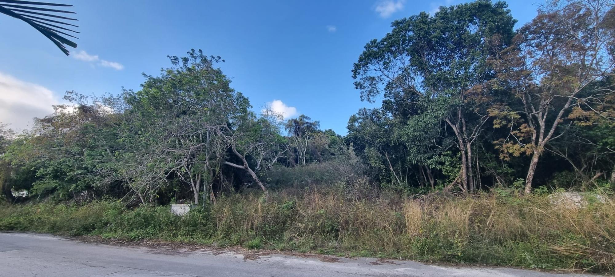 LOT #45 SOUTH WESTRIDGE