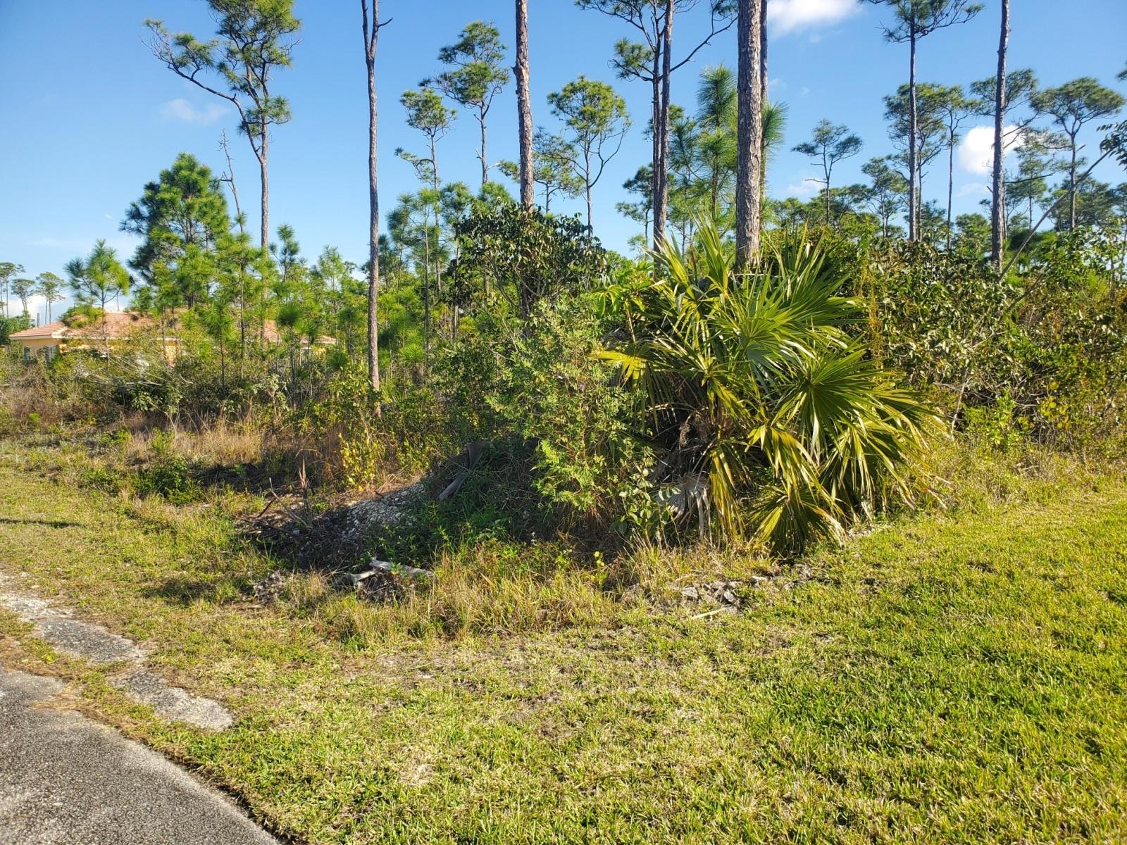 GREENING GLADE LOT