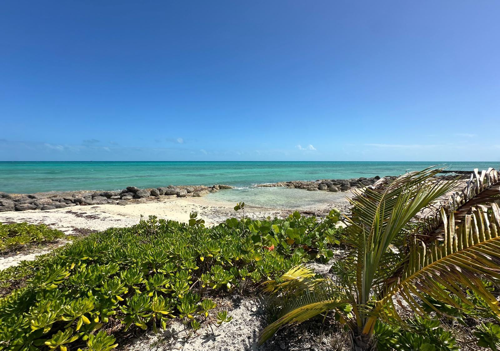 TREASURE COVE