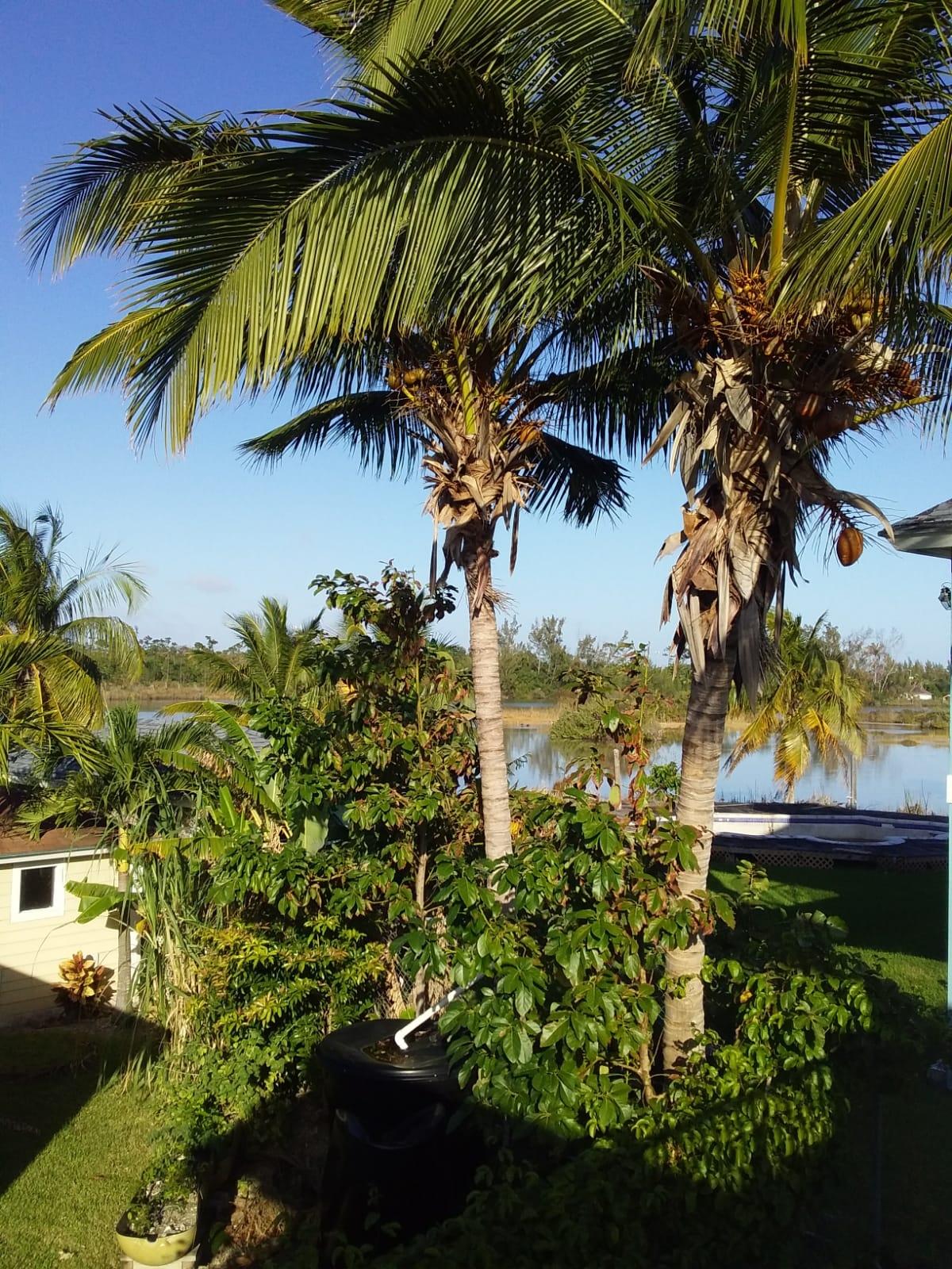 Coral Lakes Home