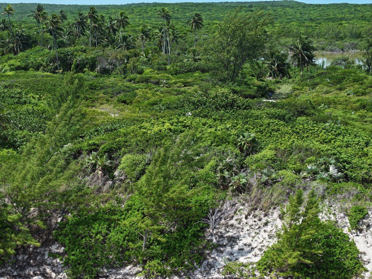 5B DOUBLE BAY ELEUTHERA