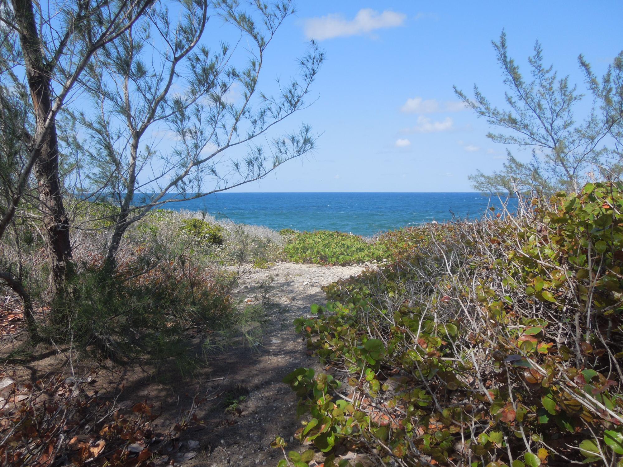 Waterfront Lot