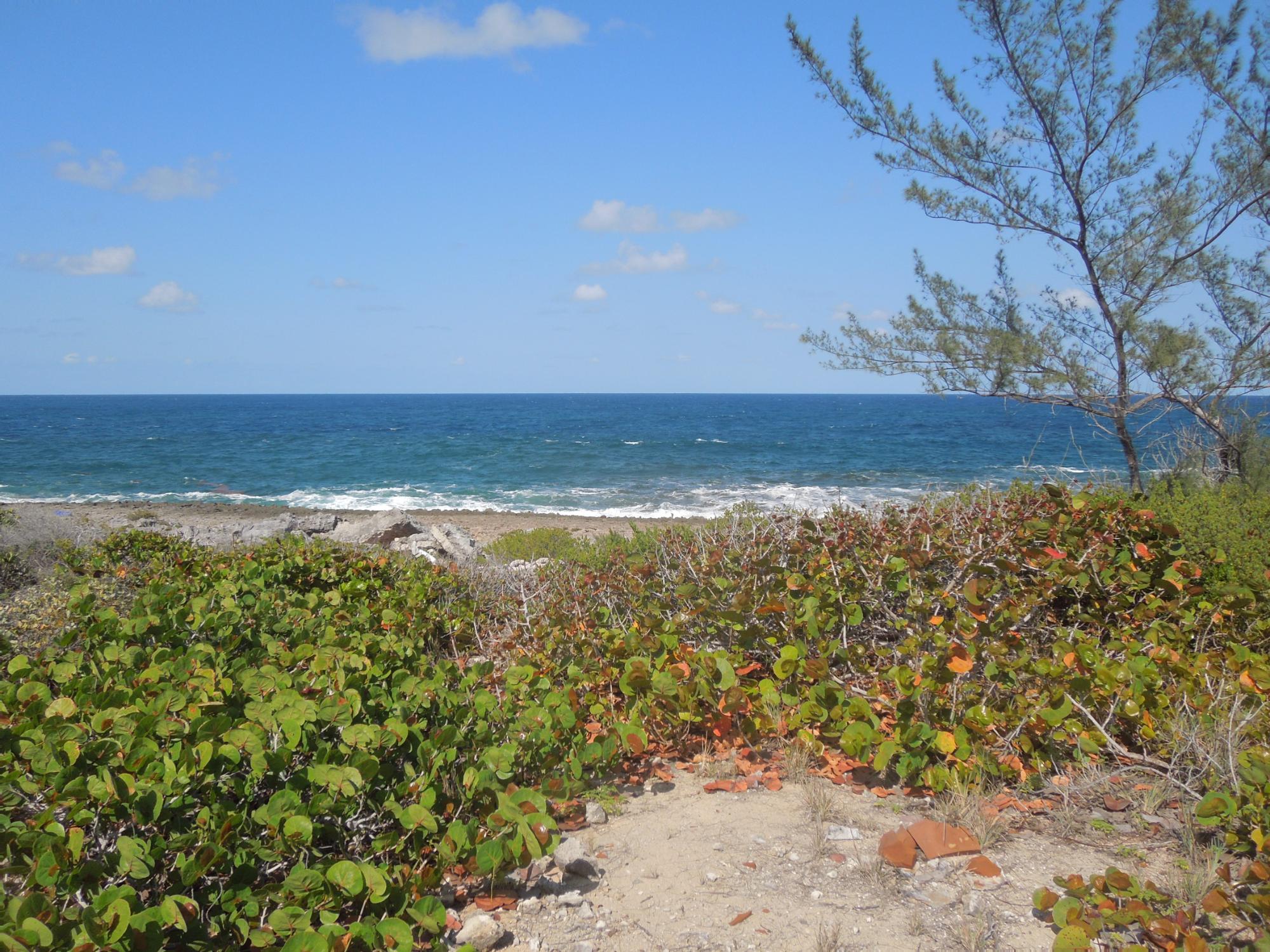 Waterfront Lot
