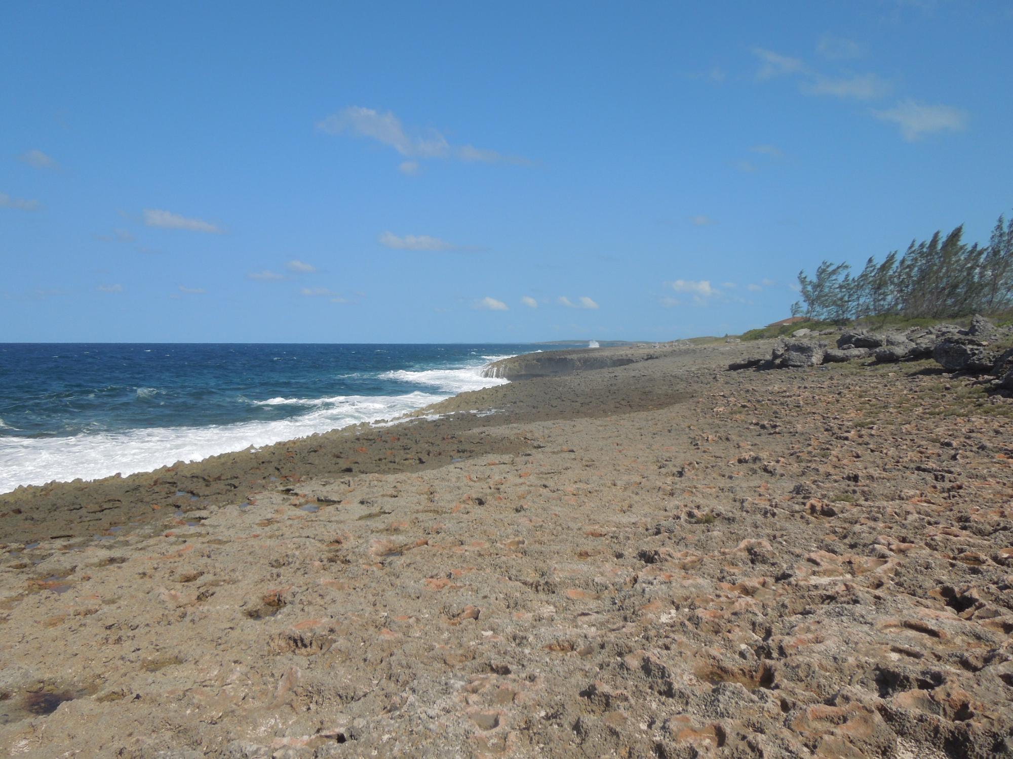 Waterfront Lot