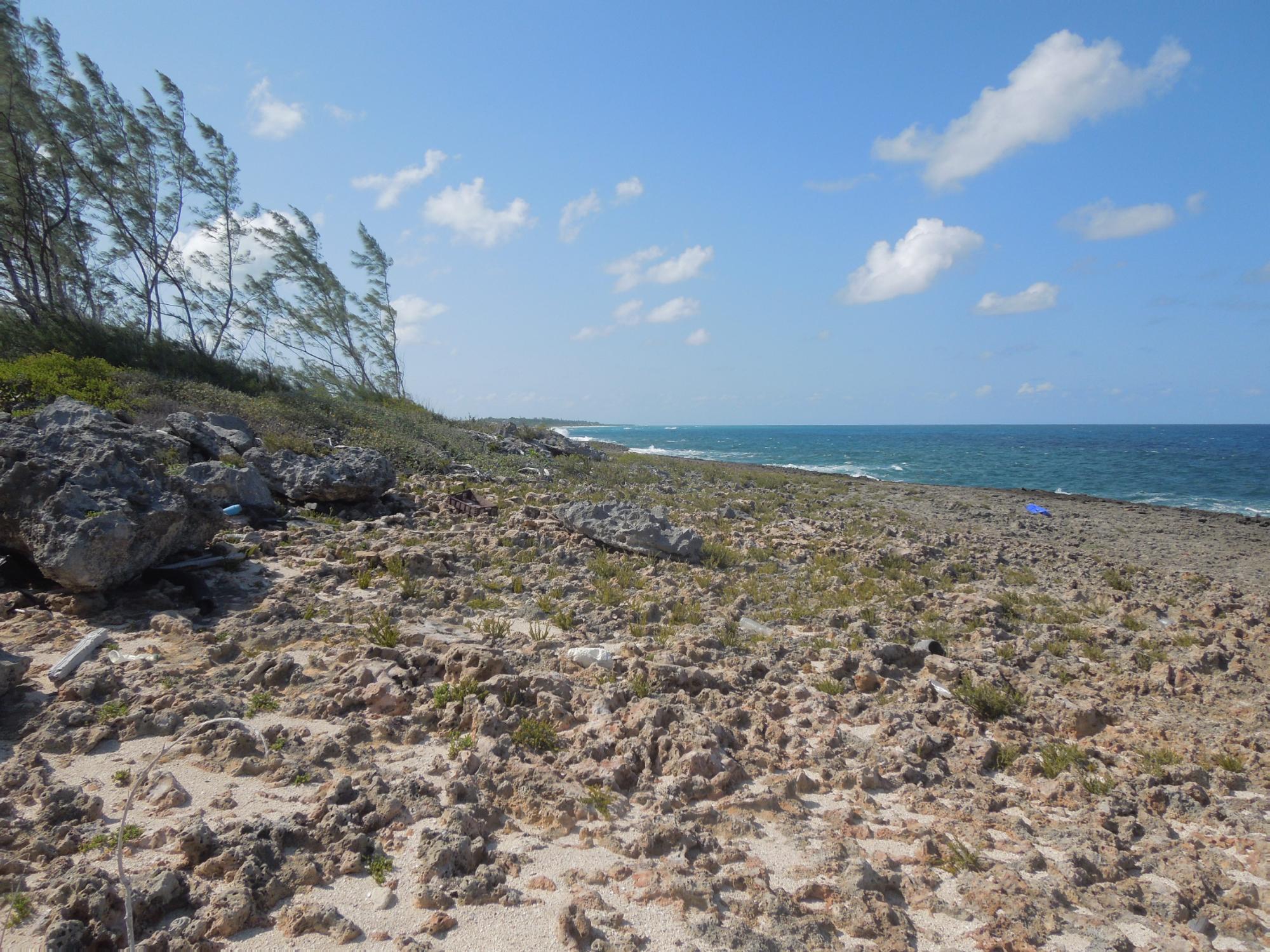 Waterfront Lot