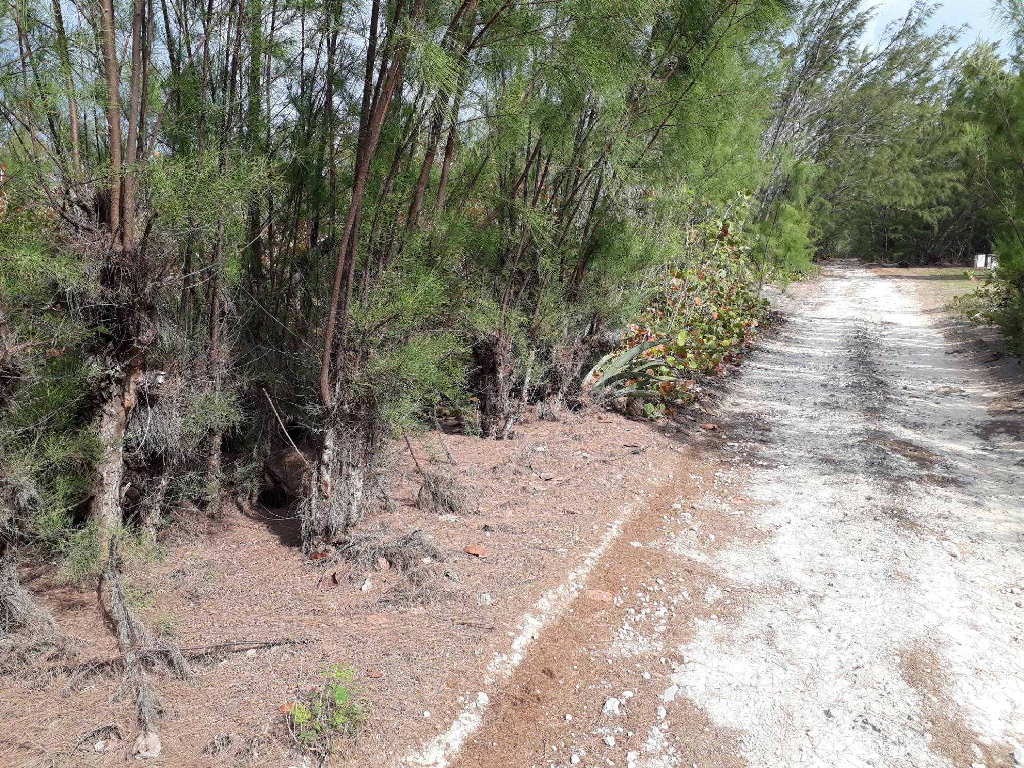 Waterfront Lot