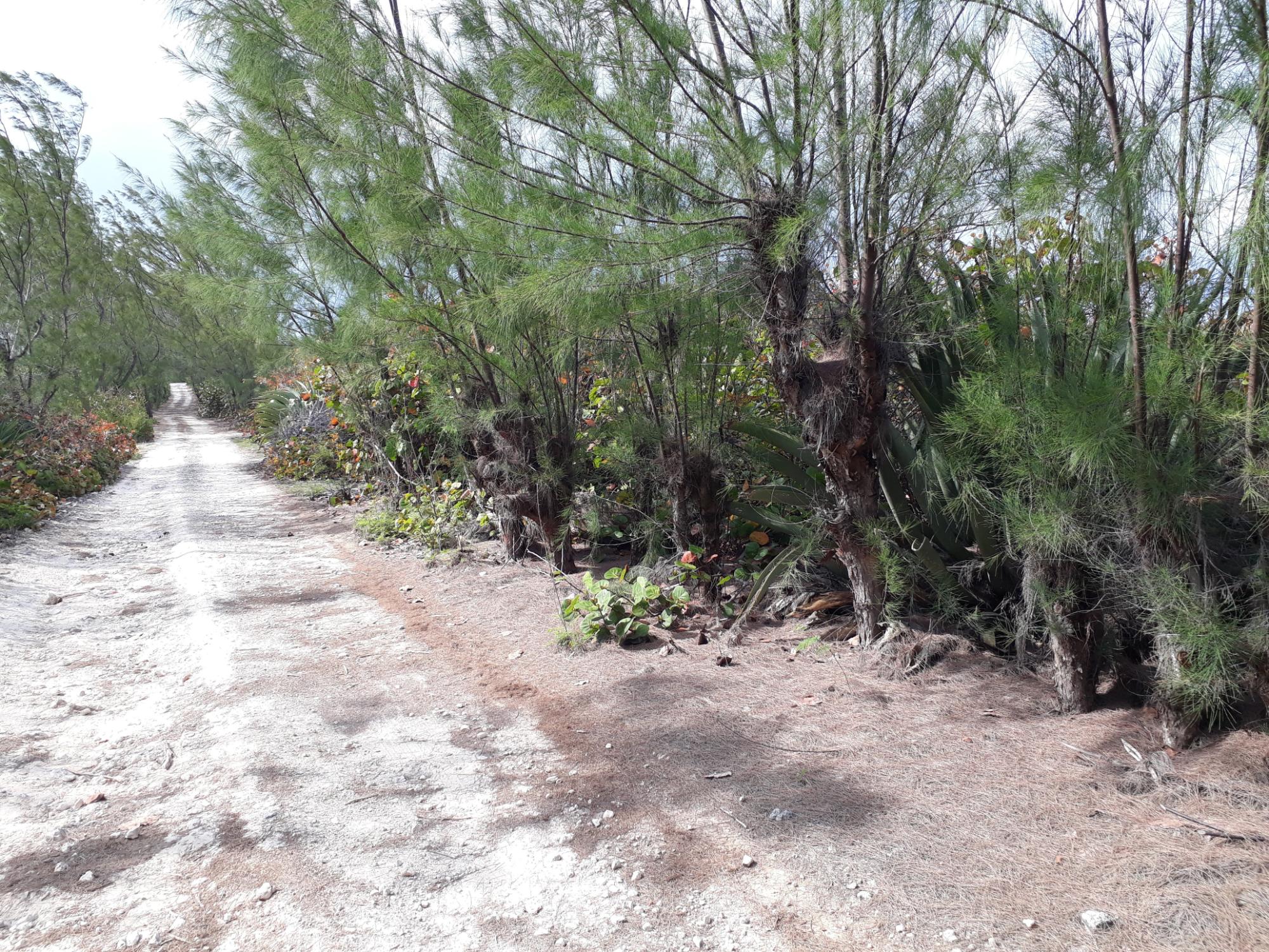 Waterfront Lot