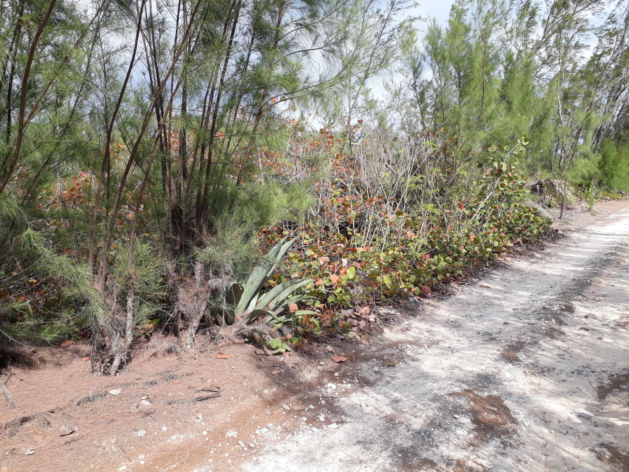 Waterfront Lot