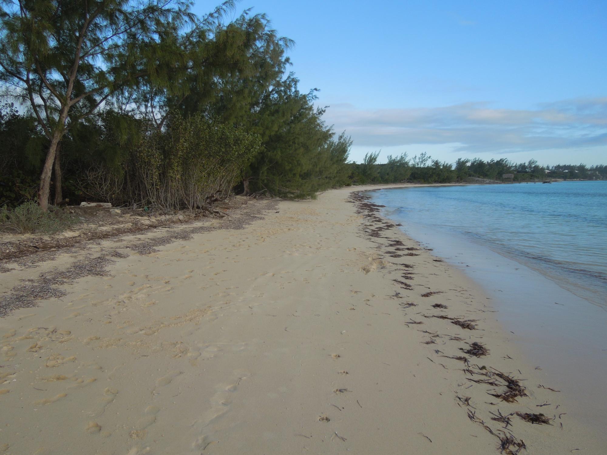 Waterfront Lot