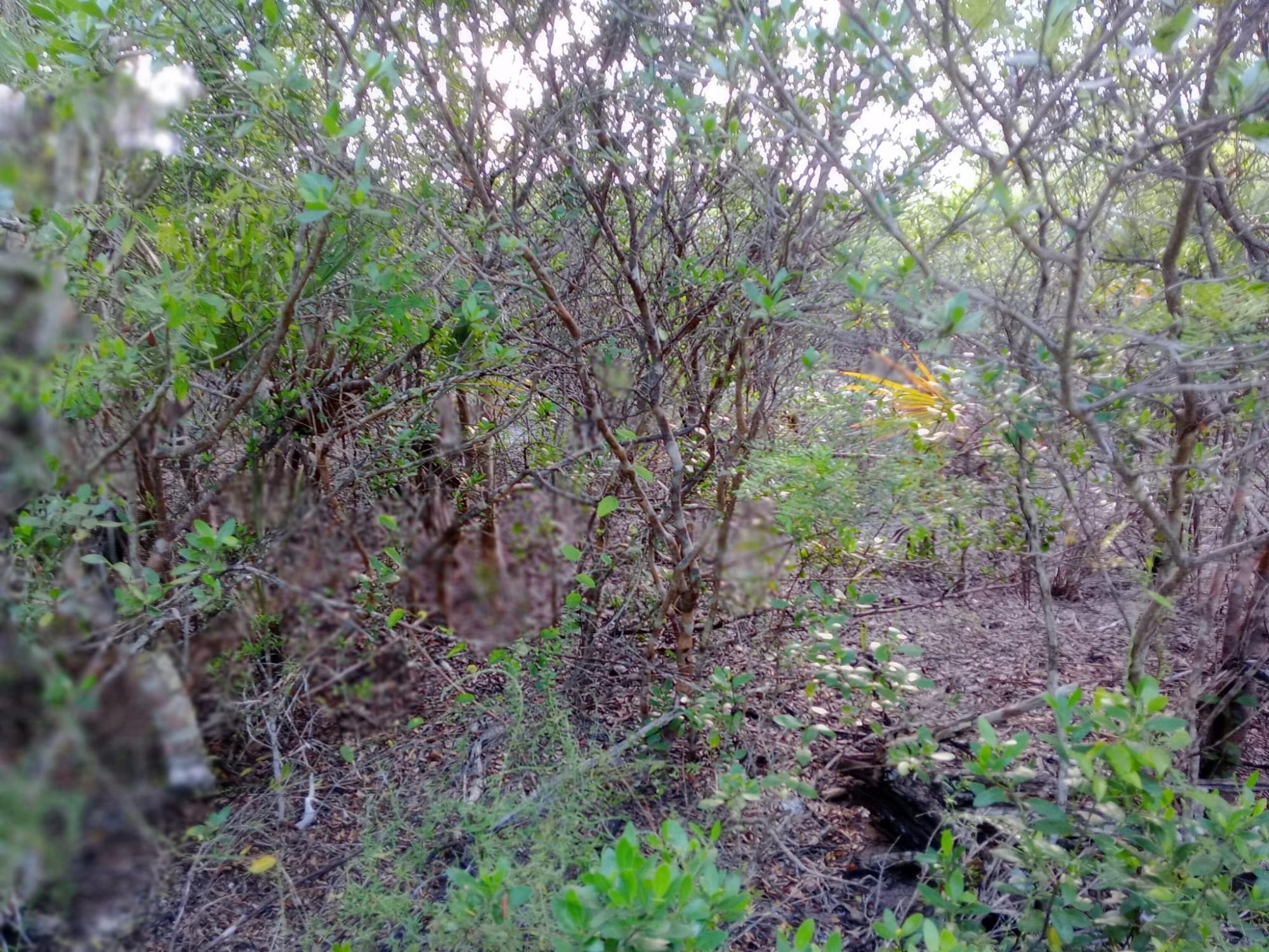 CALABASH BAY