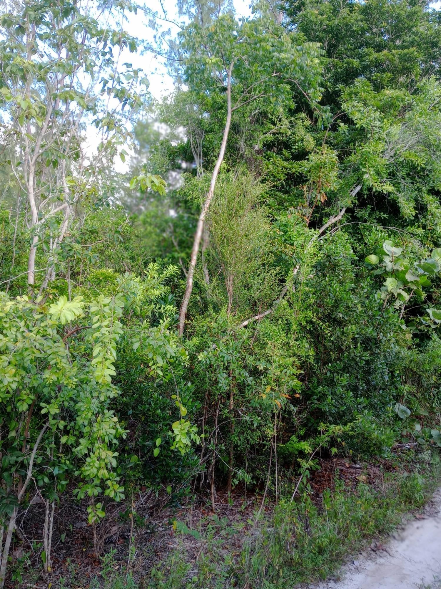 CALABASH BAY