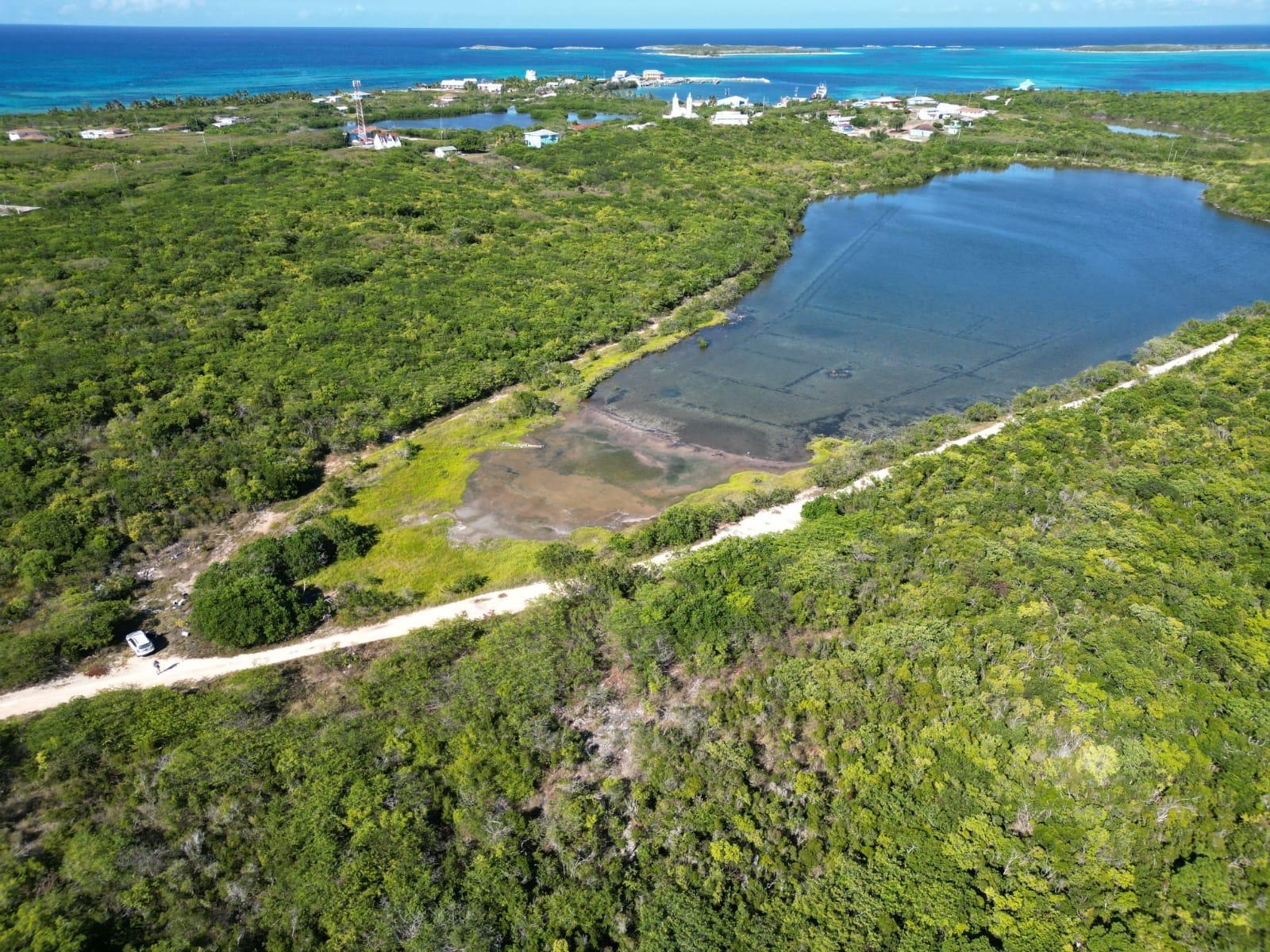 VICINITY OF CLARENCE TOWN