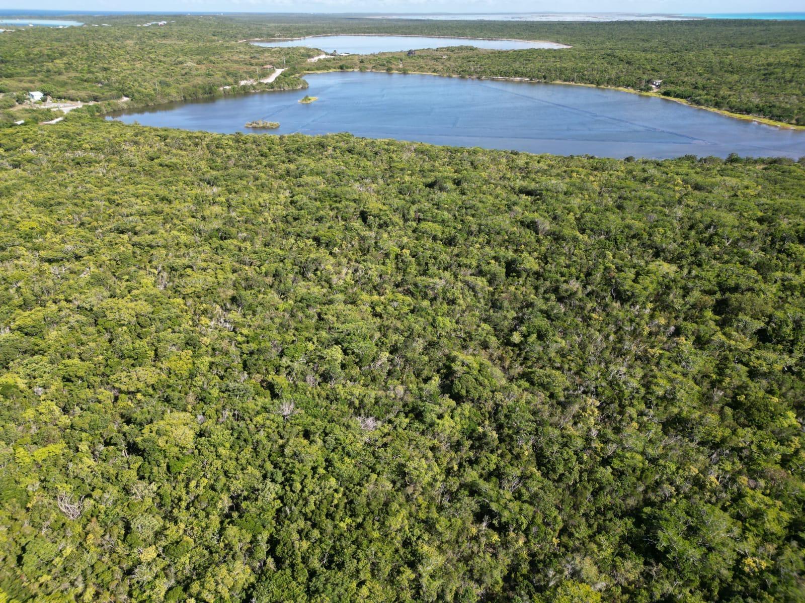 VICINITY OF CLARENCE TOWN