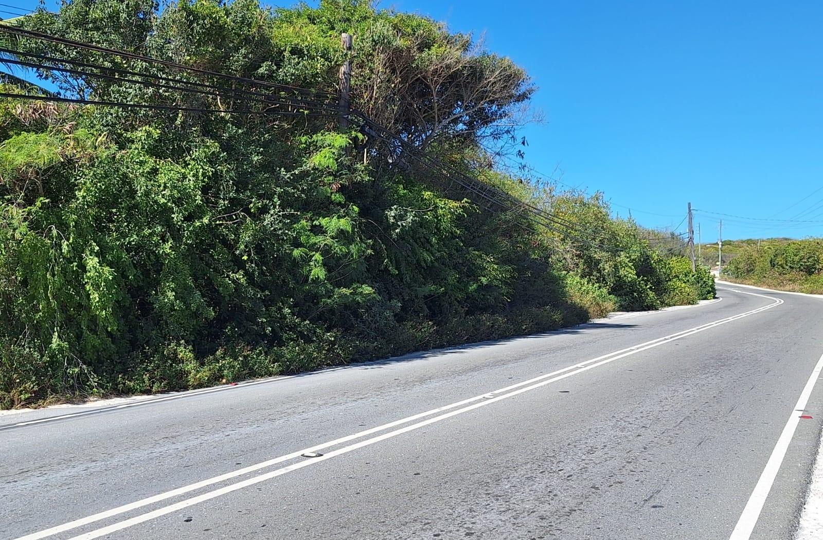 Multi/Commercial lot