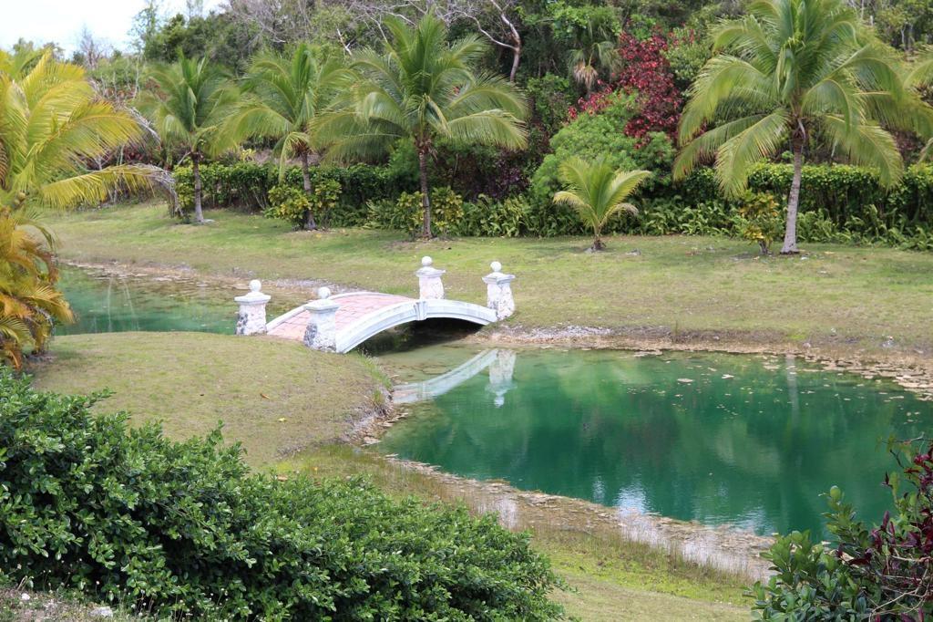 LYFORD HILLS