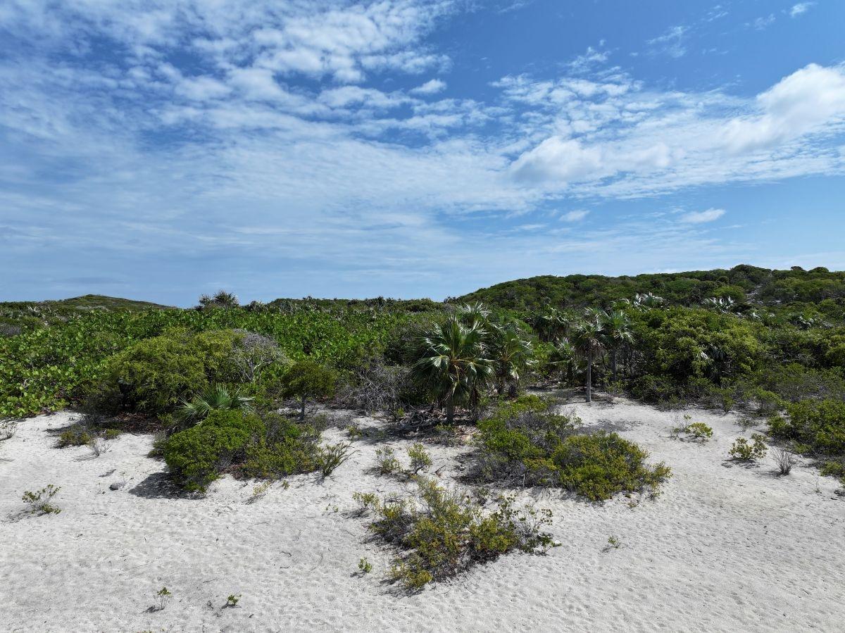 1 ACRE FARMER’S CAY,EXUMA