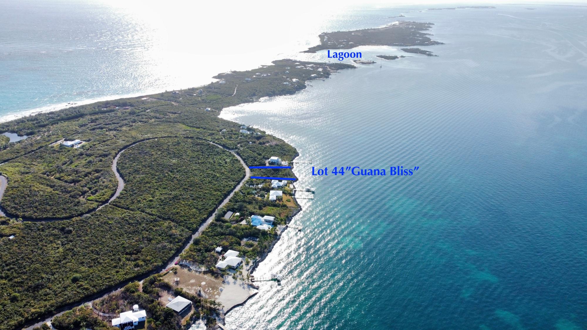 GUANA BLISS LOT 44