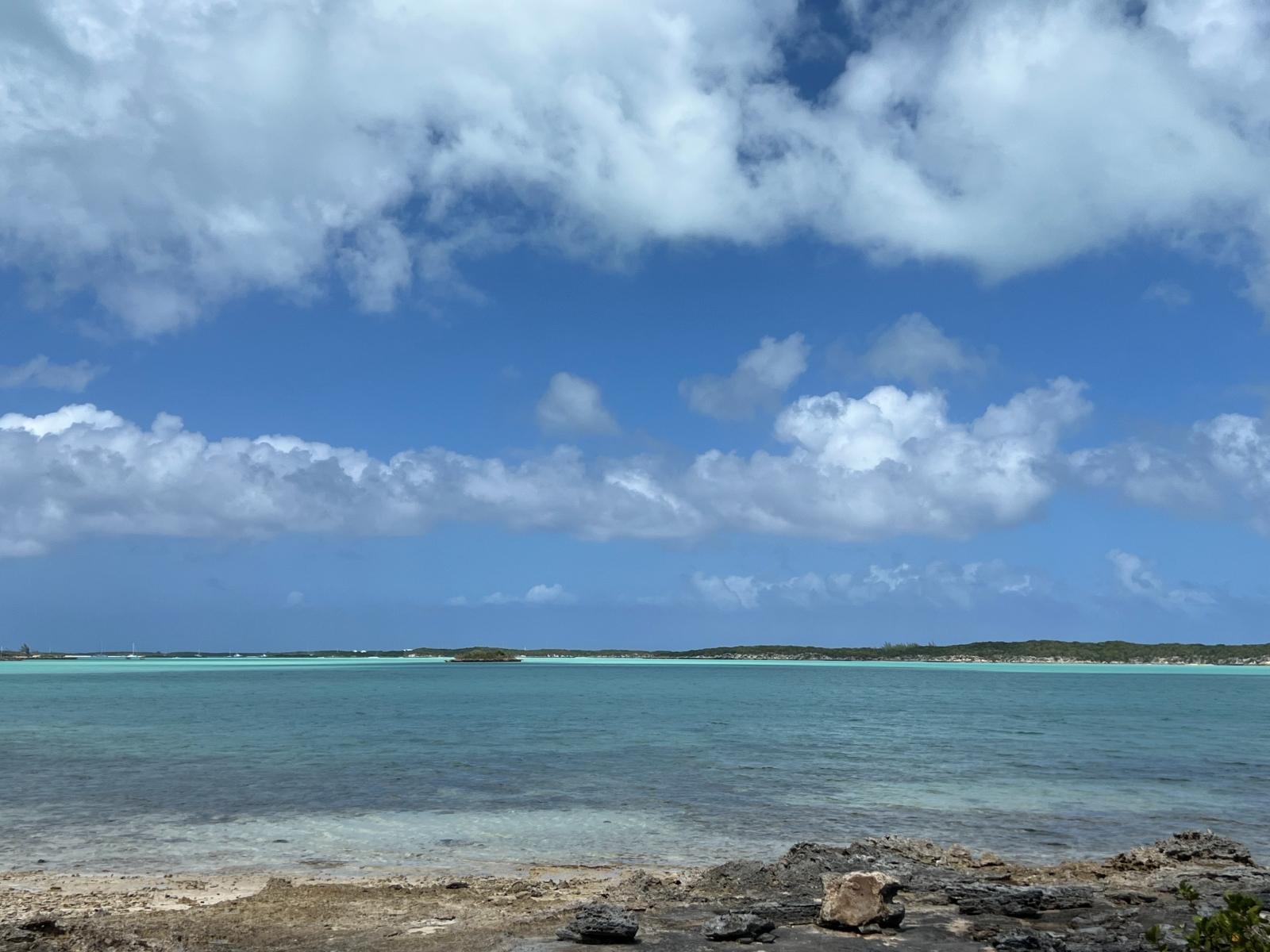 REGATTA VIEW FLAMINGO BAY