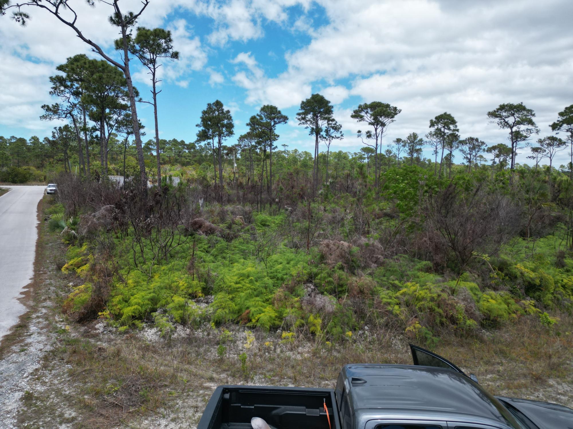 REEF ROAD
